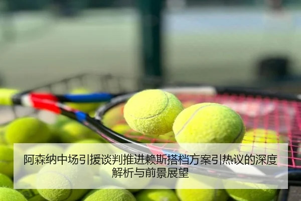 阿森纳中场引援谈判推进赖斯搭档方案引热议的深度解析与前景展望